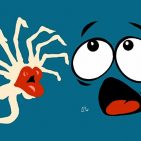 Face -hugger